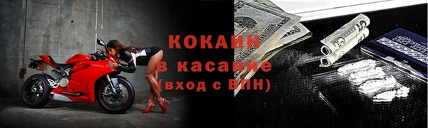 трава Белокуриха