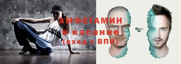 гидра Богородск