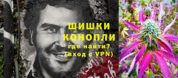 трава Белокуриха