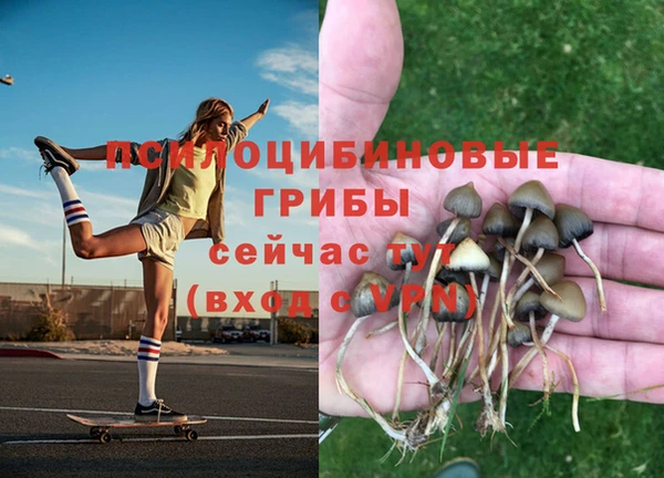 МДПВ Белоозёрский