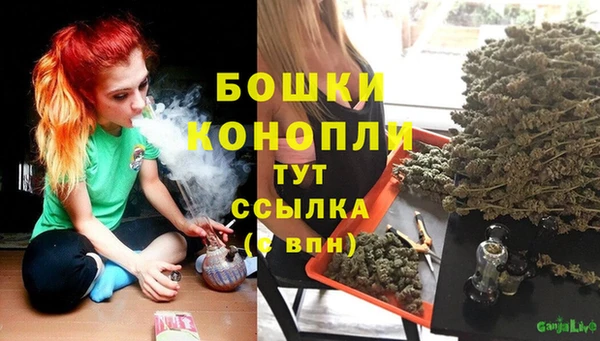гидра Богородск