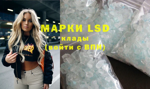 трава Белокуриха