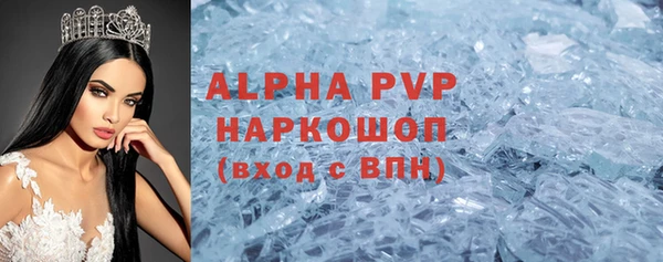 гидра Богородск