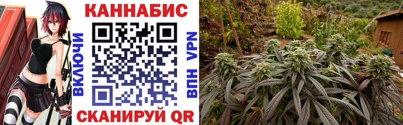 Каннабис Ganja  Мышкин 